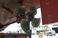 �ɂ炢���Ȃ��l