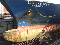 �ɂ炢���Ȃ�1